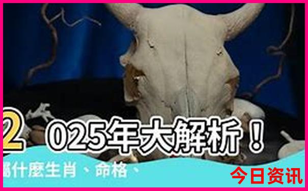 如东有什么好玩的地方旅游景点